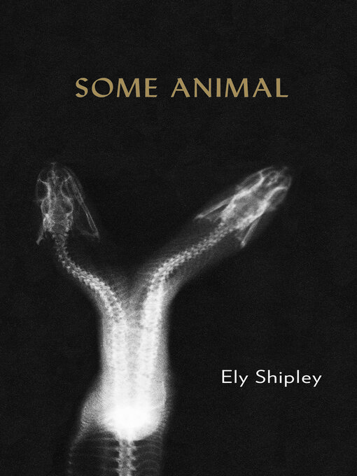Title details for Some Animal by Ely Shipley - Available